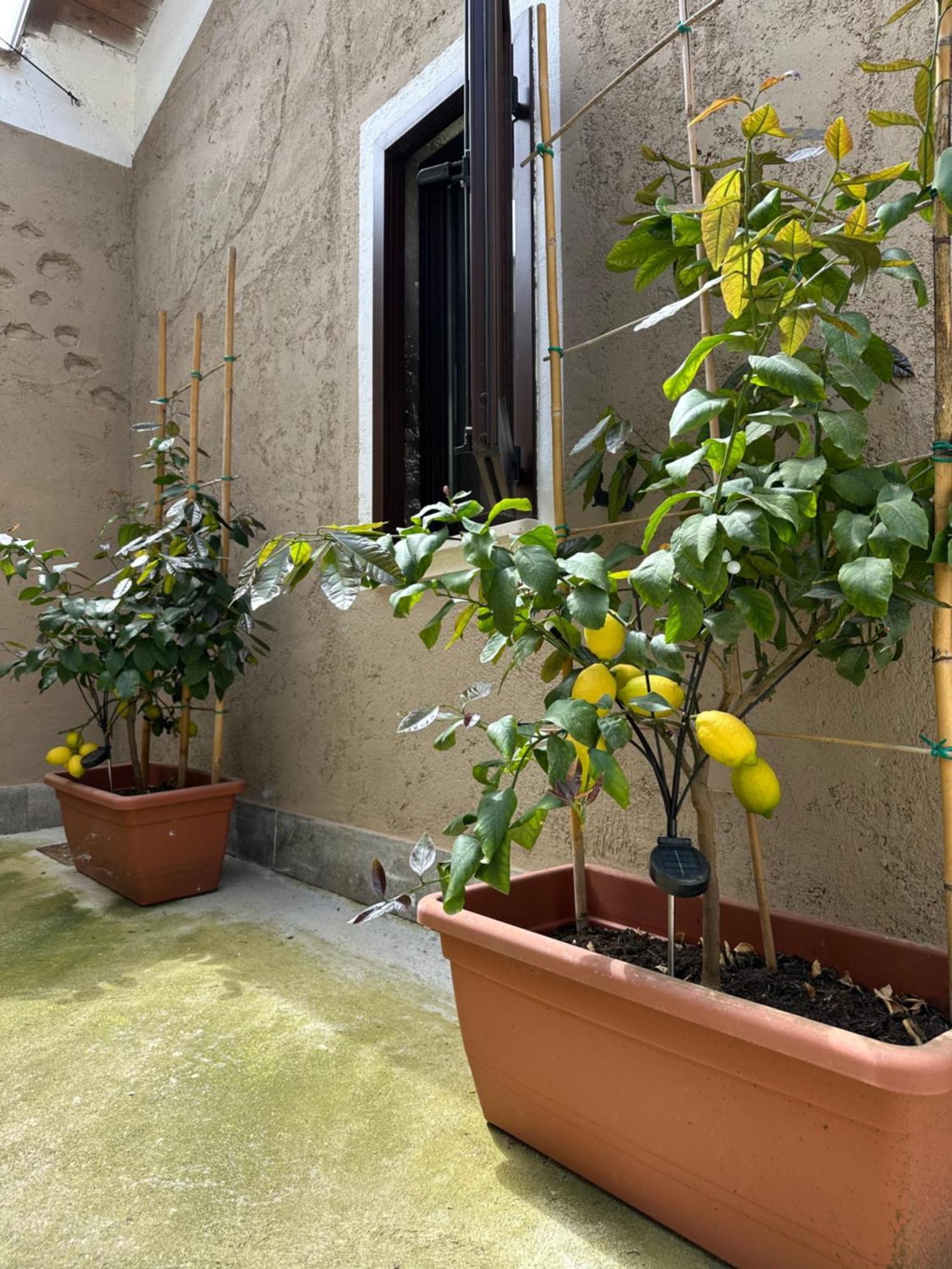 B&B La Corte Puegnago Eksteriør billede